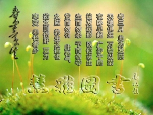 慧雅四季养生 专题：春季养生（一）