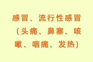 感冒、流行性感冒（头痛、鼻塞、咳嗽、咽痛、发热)