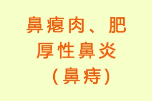 鼻息肉、肥 厚性鼻炎 （鼻痔)