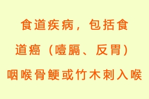 食道疾病，包括食道癌 (噎膈、反胃) 咽喉骨鲠或竹木刺入喉