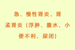 急、慢性肾炎，肾孟肾炎 (浮肿、腹水、小便不利、尿闭)