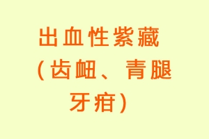 出血性紫藏（齿衄、青腿牙疳)